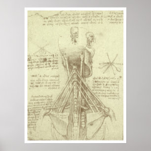 Leonardo da Vinci's Human Anatomy Spinal Column Poster
