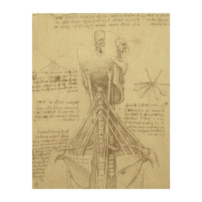 Leonardo da Vinci's Human Anatomy Spinal Column Wood Wall Art (Front)