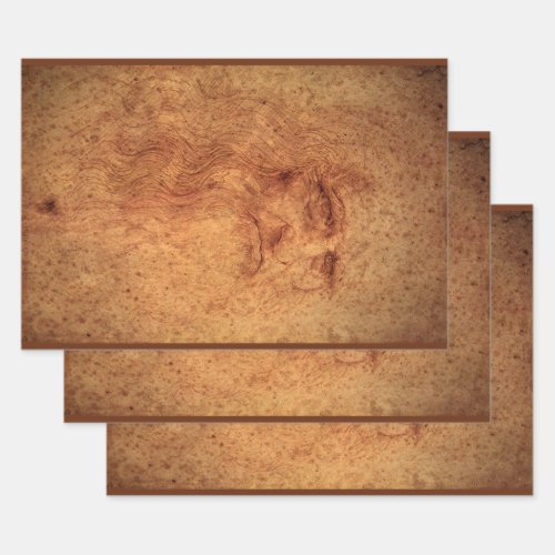 Leonardo da Vincis Self Portrait Renaissance Art Wrapping Paper Sheets