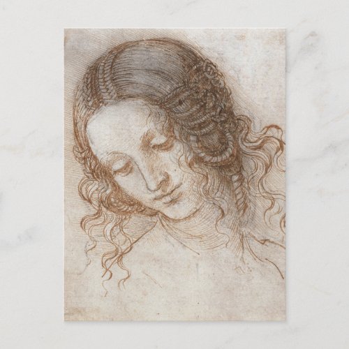 Leonardo da Vincis Study of the Head of Leda Postcard
