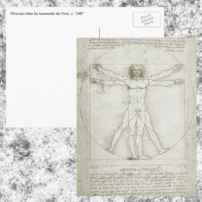 Leonardo da Vinci's Vitruvian Man Postcard (Creator Uploaded)