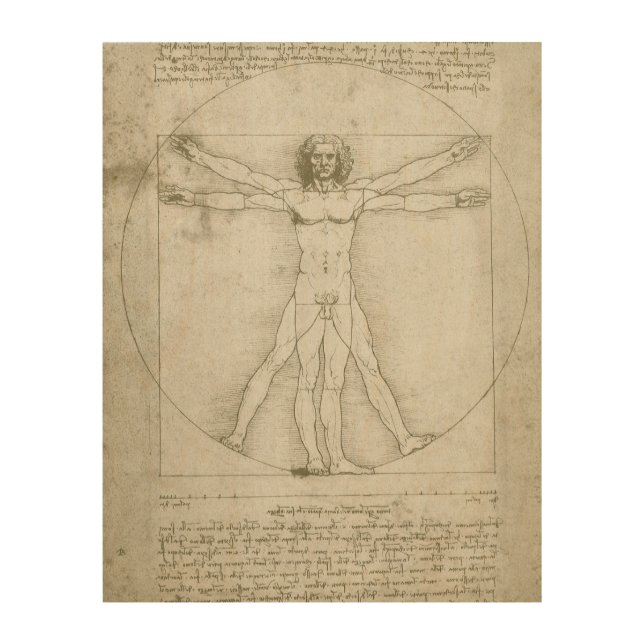 Leonardo da Vinci's Vitruvian Man Wood Wall Decor (Front)