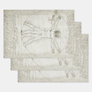 Leonardo da Vinci's Vitruvian Man Wrapping Paper Sheets