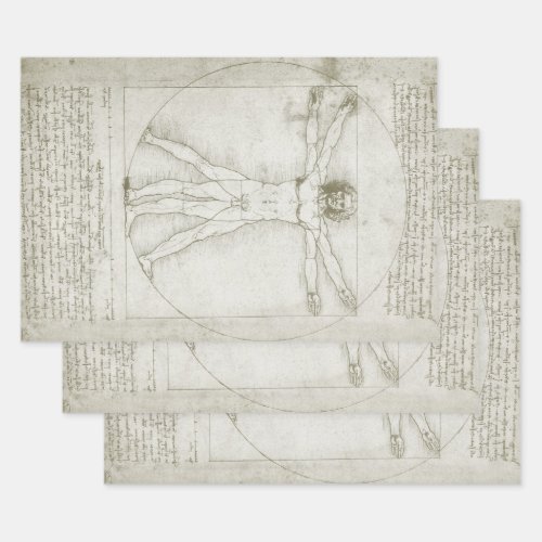 Leonardo da Vincis Vitruvian Man Wrapping Paper Sheets