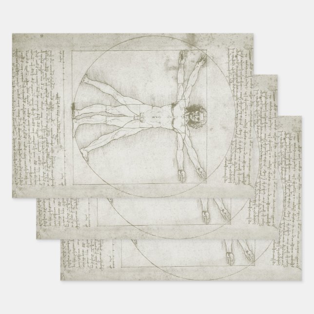Leonardo da Vinci's Vitruvian Man Wrapping Paper Sheets (Set)