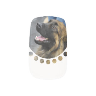 leonberger-1.jpg minx nail art