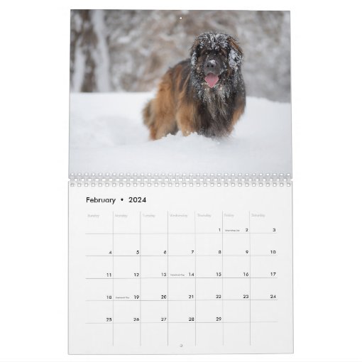 Leonberger Action Calendar Zazzle