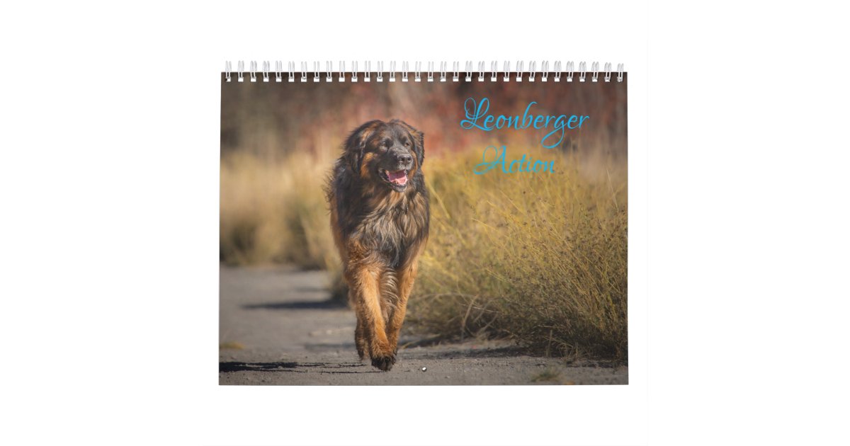 Leonberger Action Calendar Zazzle