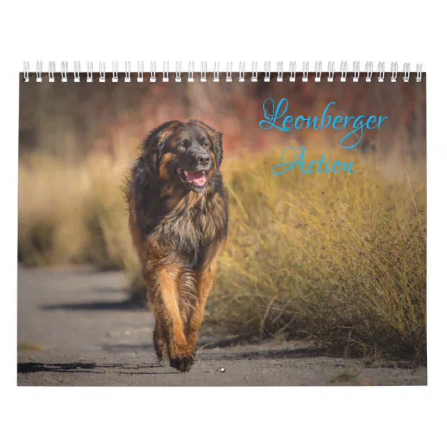 Leonberger Action Calendar Zazzle