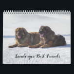 Leonberger Best Friends Calendar<br><div class="desc">Leonberger Best Friends calendar</div>