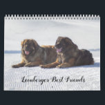 Leonberger Best Friends Calendar<br><div class="desc">Leonberger Best Friends calendar</div>