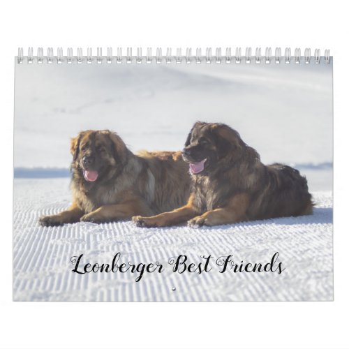 Leonberger Best Friends Calendar