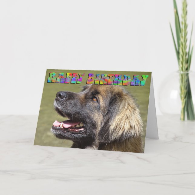 Leonberger birthday card (Front)