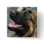 Leonberger Button