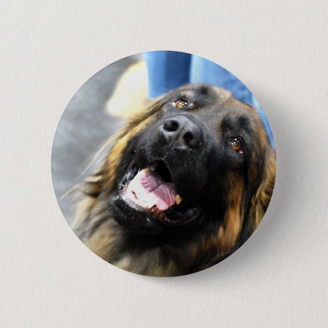 Leonberger  Buttons (Front)