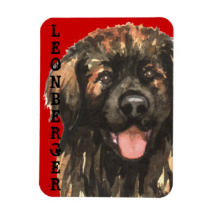 Leonberger Color Block Magnet