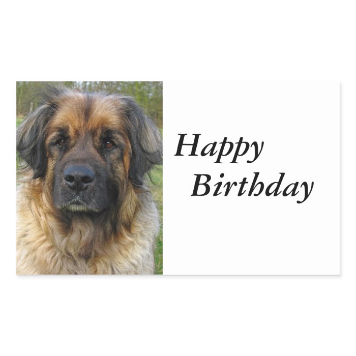 Leonberger dog beautiful happy birthday stickers