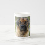 Leonberger Dog Beautiful Photo Portrait, Gift Bone China Mug at Zazzle