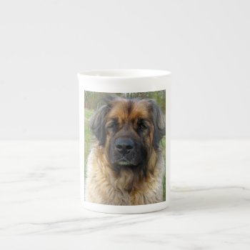 Leonberger Dog Beautiful Photo Portrait  Gift Bone China Mug by roughcollie at Zazzle