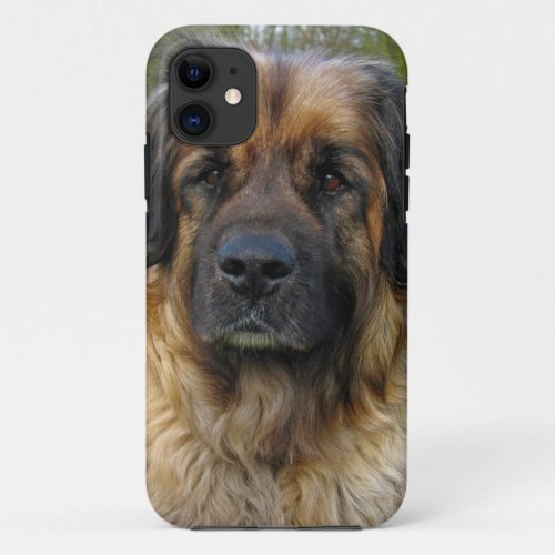 Leonberger dog beautiful photo portrait gift iPhone 11 case