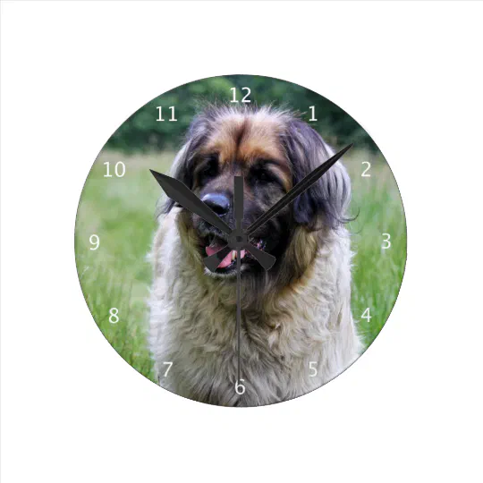 Leonberger Wall Clock Dog Canine 