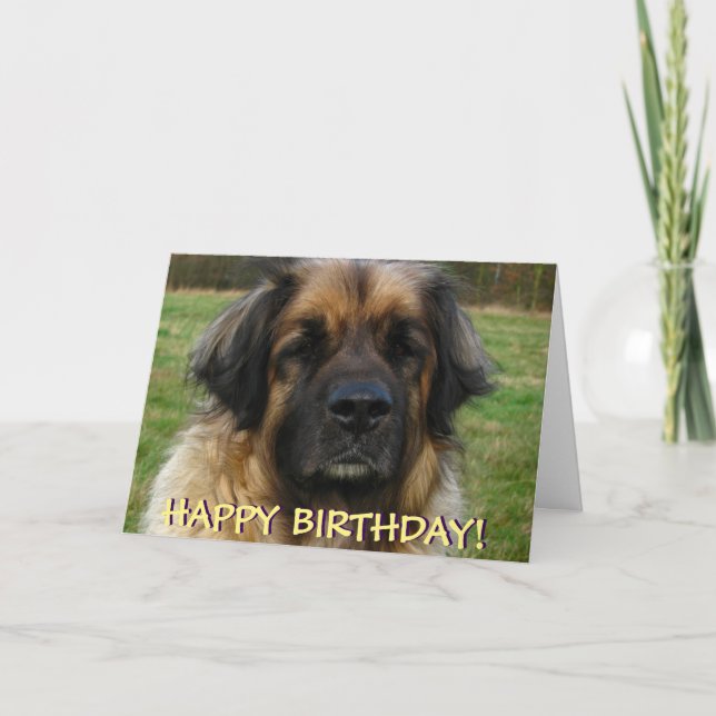 Leonberger dog birthday card (Front)