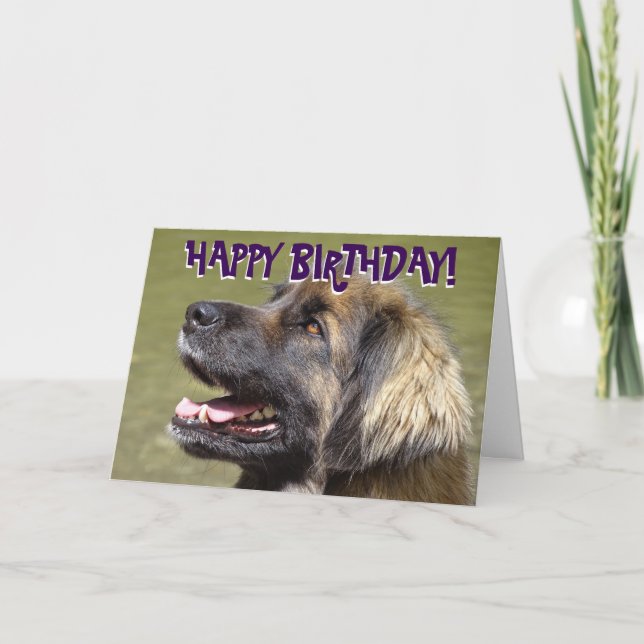 Leonberger dog birthday card (Front)