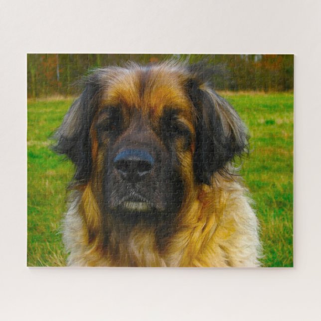 Leonberger Dog Breed Jigsaw. Jigsaw Puzzle (Horizontal)