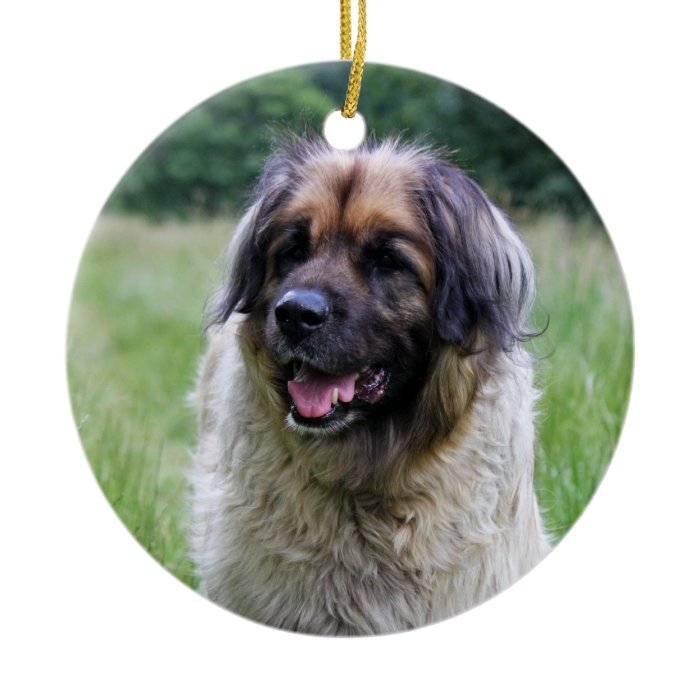 Leonberger dog hanging ornament, gift idea