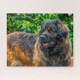 Leonberger Dog. Jigsaw Puzzle