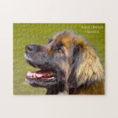 Dog breeds puzzle 166 best sale