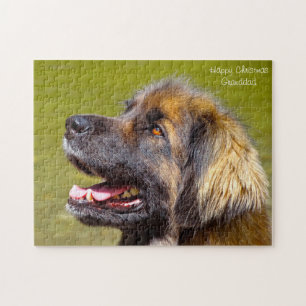 Leonberger Dog. Jigsaw Puzzle