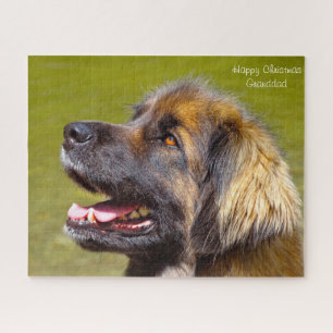 Leonberger Dog. Jigsaw Puzzle