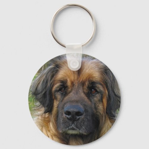 Leonberger dog keychain beautiful photo gift keychain
