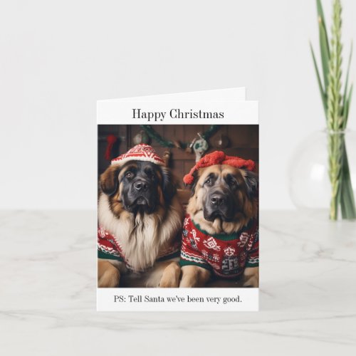 Leonberger Dogs in Christmas Sweaters Card