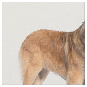 Leonberger Fabric