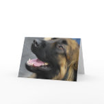 Leonberger Greeting Card