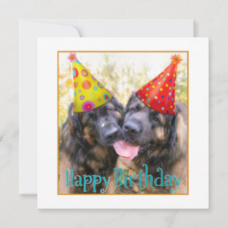 Leonberger Happy Birthday Thank You Card