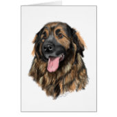 Leonberger Head Study (Front)