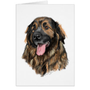 Leonberger Head Study Cards