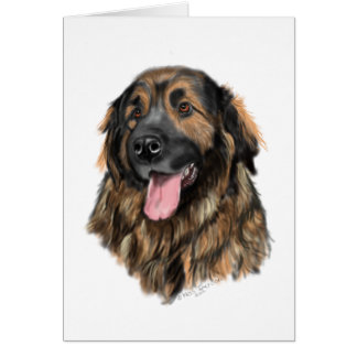 Leonberger Head Study Cards