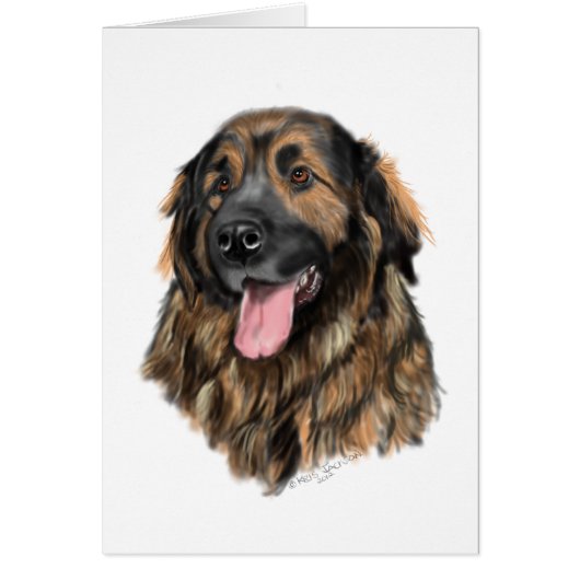 Leonberger Head Study Cards (Front)