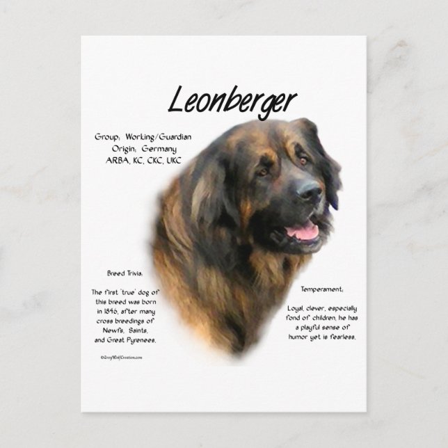 Leonberger History Design Postcard (Front)