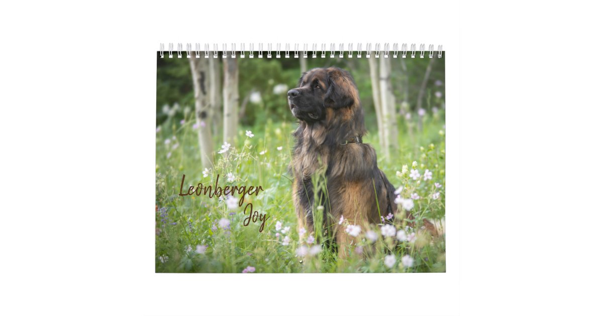 Leonberger Joy Calendar Zazzle