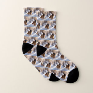 Leonberger Let It Snow Christmas Socks