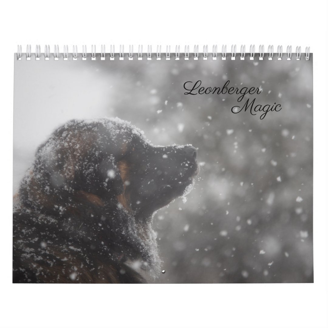 Leonberger Magic Calendar Zazzle