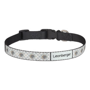 Leonberger Painting - Cute Original Dog Art Pet Collar