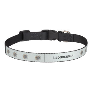Leonberger Painting - Cute Original Dog Art Pet Collar