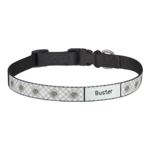 Leonberger Painting - Cute Original Dog Art Pet Collar