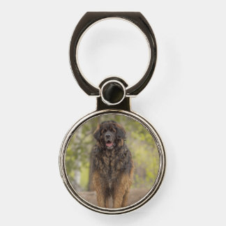 Leonberger Phone Ring Stand